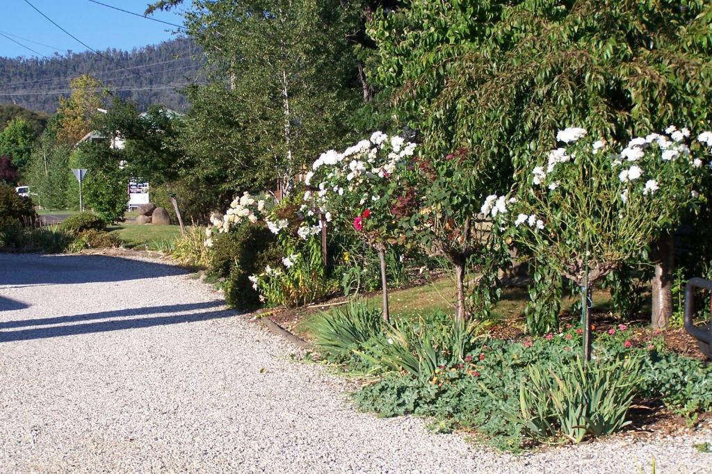 Bogong Moth Motel Mount Beauty Exterior foto