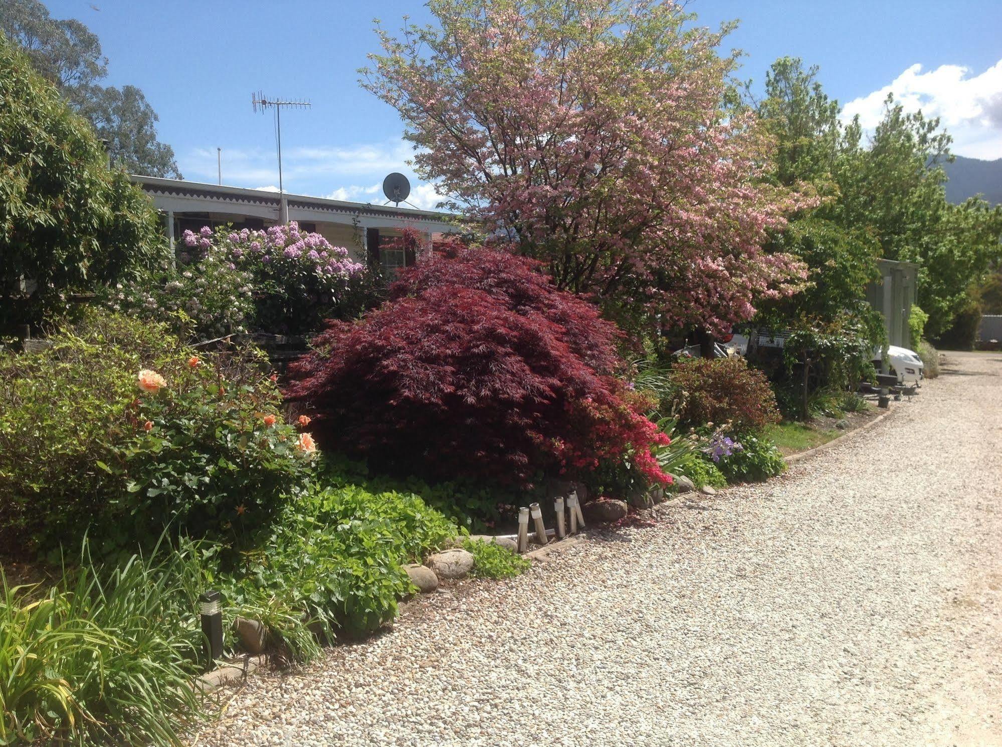 Bogong Moth Motel Mount Beauty Exterior foto